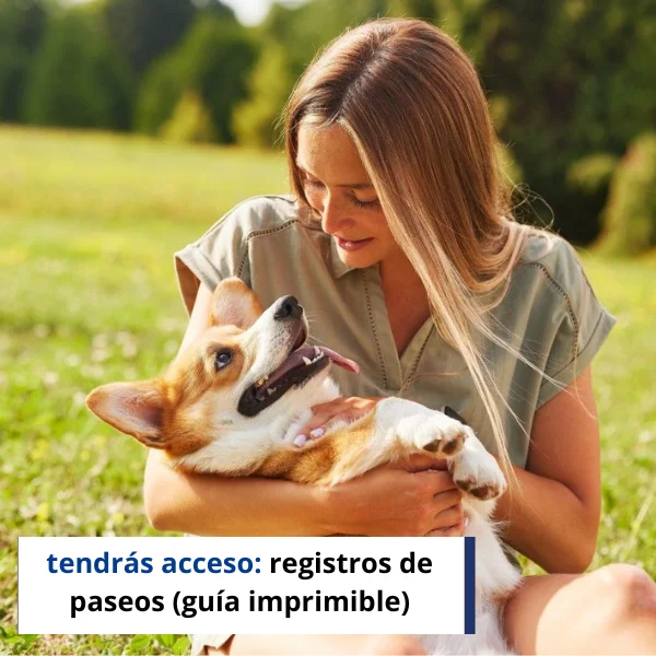 imagen langing (11)