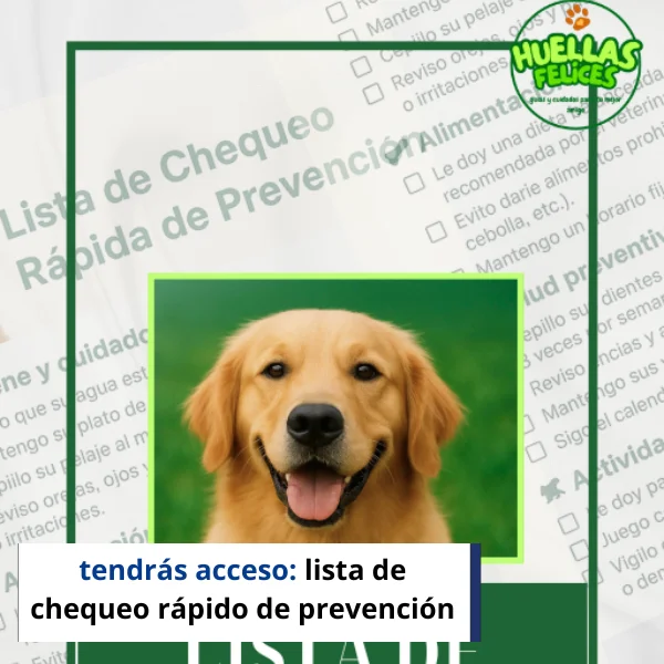 imagen langing (2)