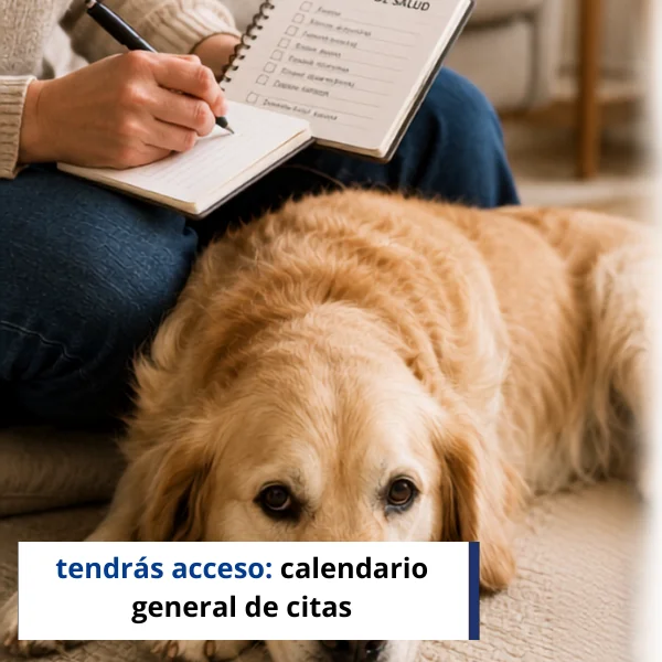 imagen langing (8)